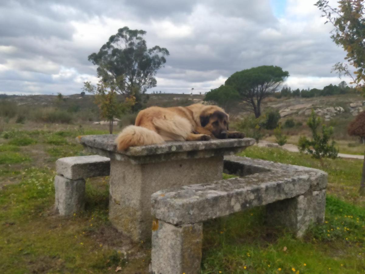 Quinta Da Lua Nova Bed & Breakfast Travancinha Dış mekan fotoğraf
