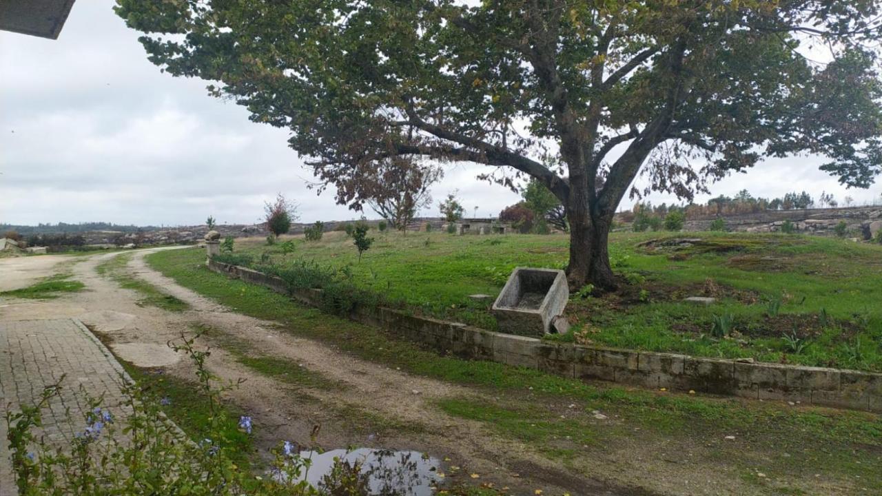 Quinta Da Lua Nova Bed & Breakfast Travancinha Dış mekan fotoğraf