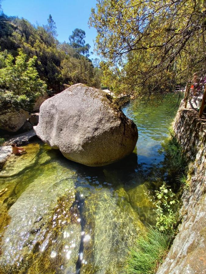 Quinta Da Lua Nova Bed & Breakfast Travancinha Dış mekan fotoğraf