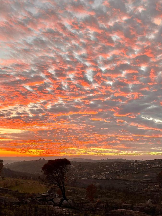 Quinta Da Lua Nova Bed & Breakfast Travancinha Dış mekan fotoğraf